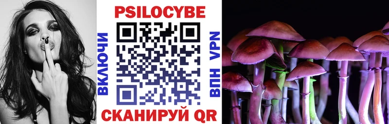 Псилоцибиновые грибы Psilocybe  Покров 